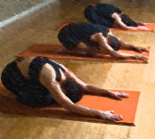 Contemplative Yoga